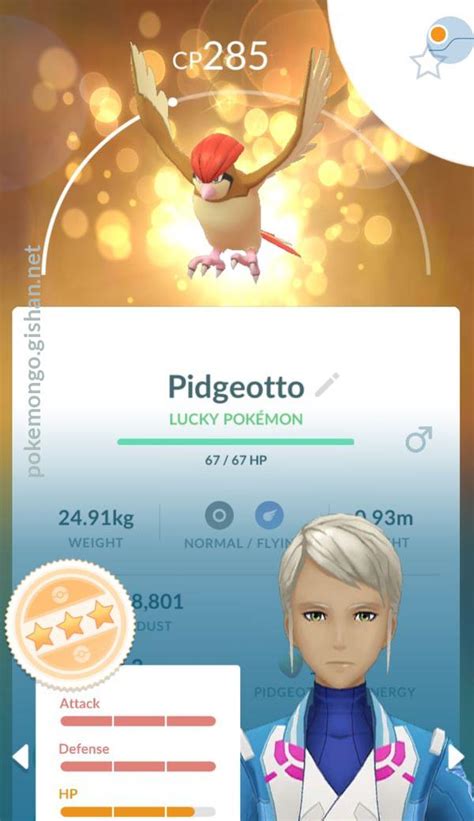 Pidgeotto - Pokemon Go