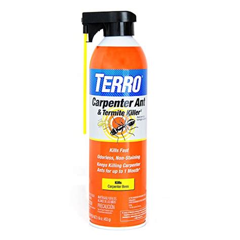 3 Best Termite Spray Products To Kill The Pest Instantly!!!