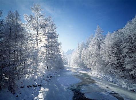 Austria, Winter Landscape Digital Art by Reinhard Schmid - Fine Art America