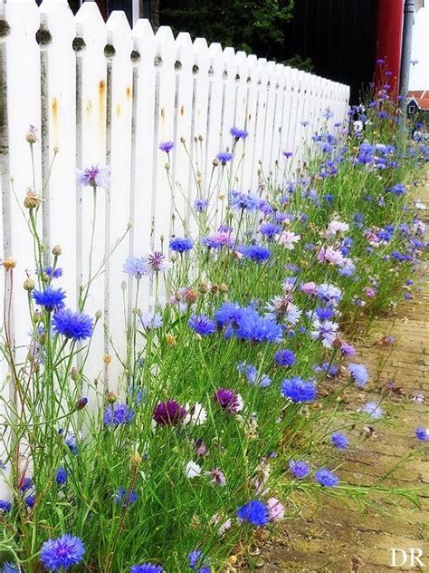 Picket fence garden – Artofit