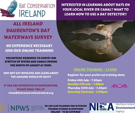 Bat Survey Training from Bat Conservation Ireland - Dún Laoghaire ...