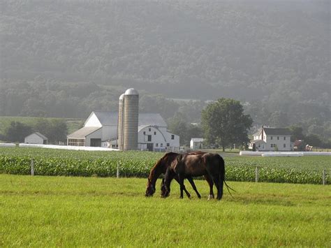 Amish Farms 054 | Amish farm, Amish, Farm