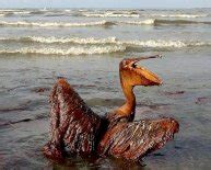 Deepwater Horizon oil spill cleanup : Spill Kit