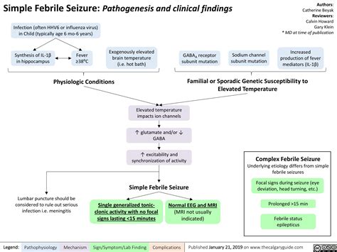 Simple Febrile Seizure: Pathogenesis and clinical findings | Calgary Guide