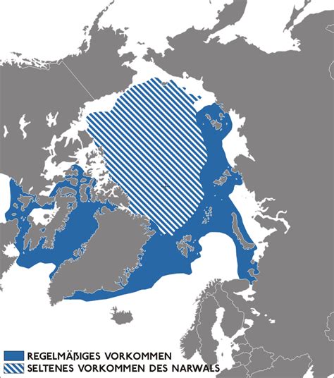 Narwhal Habitat Map