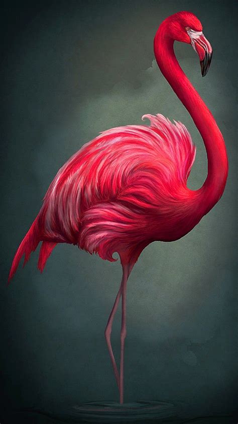 Flamingo Artwork, Flamingo Painting, Birds Painting, Paintings Of Birds, Flamingo Drawings, Bird ...