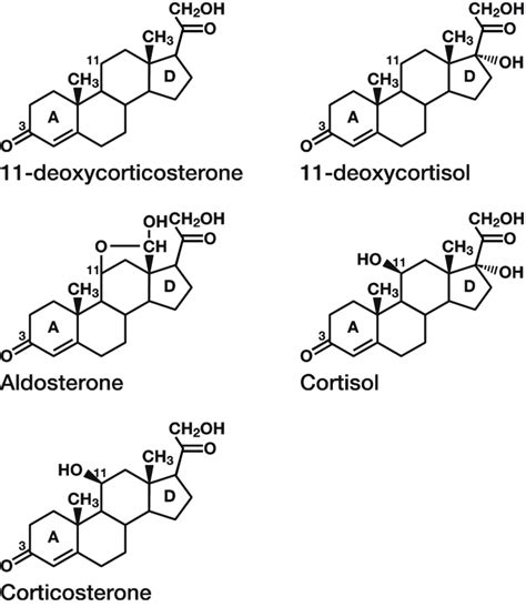 Structures of Corticosteroids. 11-deoxycorticosterone and... | Download Scientific Diagram