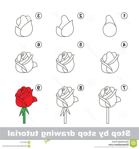 How To Draw Rose Step By Step – Warehouse of Ideas