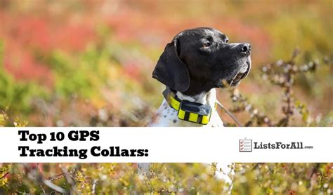 Best GPS Tracking Collars: The Top 10 List - ListsForAll.com