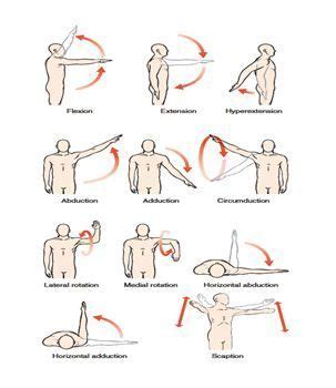 Physical Therapy Exercises For Rotator Cuff Injury - Exercise Poster