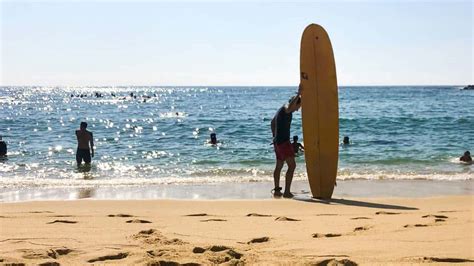 A Guide to Surfing in California