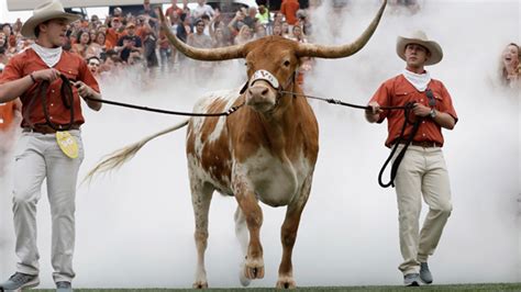 Photographer files lawsuit against owners, handlers of Bevo XV | FOX 7 ...