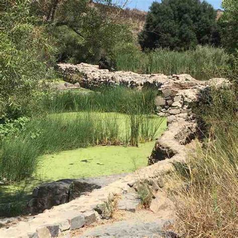 Father Junipero Serra Trail/Old Mission Dam Run - San Diego, California ...