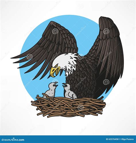 Bald Eagle In The Nest Stock Vector - Image: 63376458