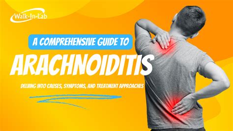 A Comprehensive Guide to Arachnoiditis: Delving into Causes, Symptoms, and Treatment Approaches ...