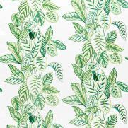 Calathea Green and White Fabric | Leaf Design Fabric