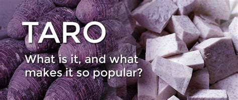 What is Taro, and What Makes It so Popular? | Taro, Popular, Plants