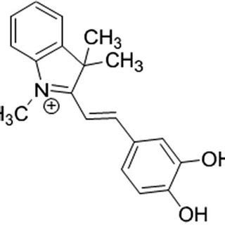 The chemical structure of the used cyanine dye. | Download Scientific Diagram