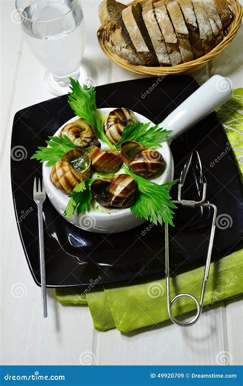 French snails stock image. Image of dish, recipe, cuisine - 49920709