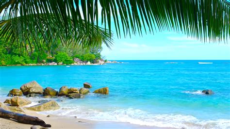 10 Best Tropical Beaches You Must Visit in Your Lifetime | Add to Bucketlist , Vacation Deals