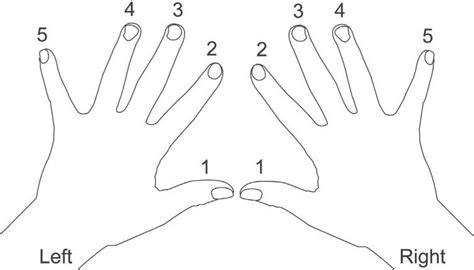 How to Play Piano With Both Hands 👐 | Pictures Included