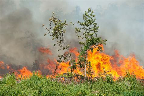 Wildfires Burn Across Louisiana, Killing 2 - The New York Times