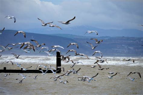 210+ Rhyl Wales Stock Photos, Pictures & Royalty-Free Images - iStock