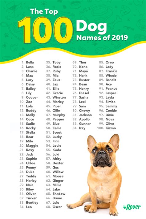 What Are Some Cute Dog Names