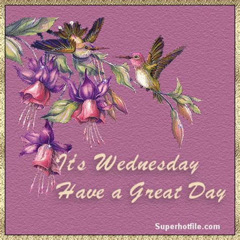 Wednesday Greetings Good Morning Wednesday Greetings GIF - Wednesday ...