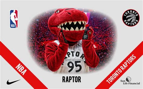 Download wallpapers Raptor, mascot, Toronto Raptors, NBA, portrait, USA ...