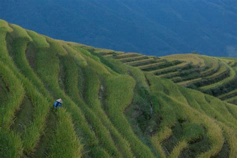 HOW TO VISIT THE LONGJI RICE TERRACES - one way ticket to nepal