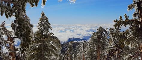 Visit the Snow in California State Parks | Cal Parks