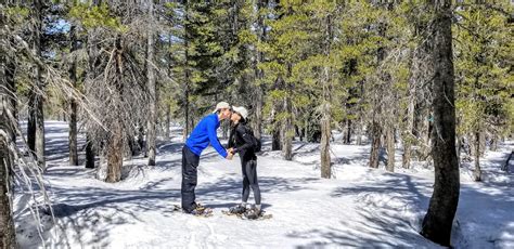 Tahoe Snowshoe Tours - Lake Tahoe Snowshoe Tours