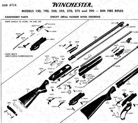 Winchester Model 75 Parts Diagram