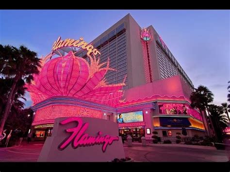 Flamingo Las Vegas - Go Room Tour - YouTube