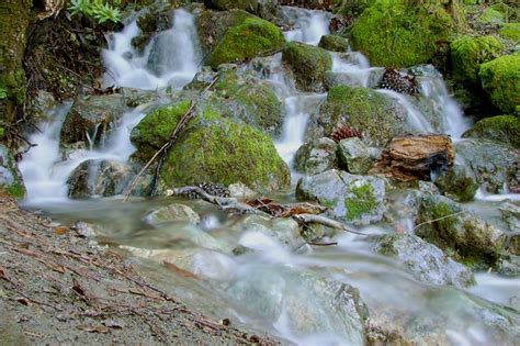 Mt. Diablo State Park - Unnamed waterfall | Flickr - Photo Sharing!