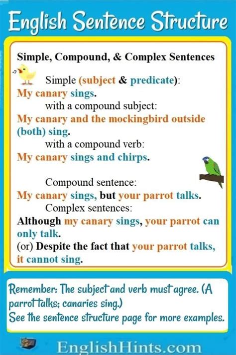 English Sentence Structure | English sentence structure, English sentences, Basic english sentences