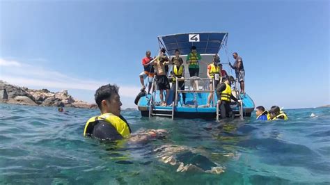 Pulau Redang Snorkeling - YouTube