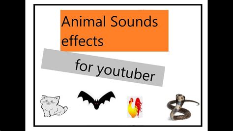 20 Amazing Animal sounds effects - YouTube