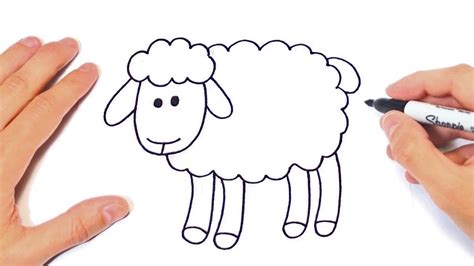How to draw a Sheep Step by Step | Sheep Drawing Lesson | Sheep drawing, How to draw a sheep ...