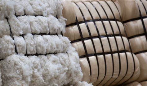 NZ Government releases plan to revitalise wool sector – woolnews.net