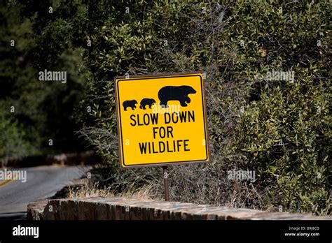 "Slow down for wildlife", warning sign wildlife crossing, Sequoia National Park, California, USA ...