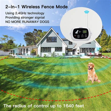 What Is The Best Wireless Dog Fence System