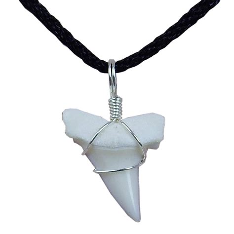 Top 10 Long Shark Tooth Necklaces - Home Previews