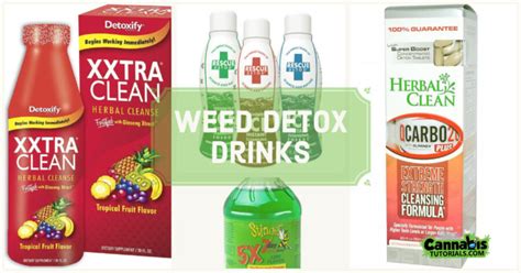 5 Detox Drinks for Weed that Work - Cannabis Tutorials