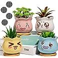 Amazon.com: 3.5inch Succulent Pots,Yangbaga Ceramic Succulent Planter and Cactus Pot with Bamboo ...