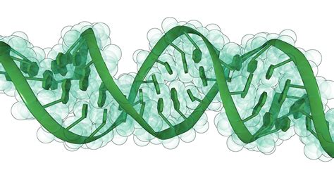 Fitusiran Prophylaxis in Hemophilia With or Without Inhibitors | Docwire News