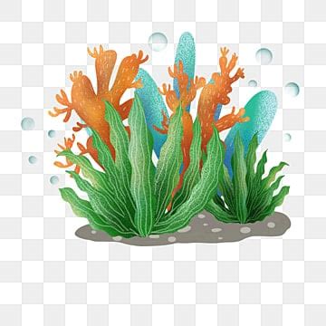 Ocean Plants Clipart