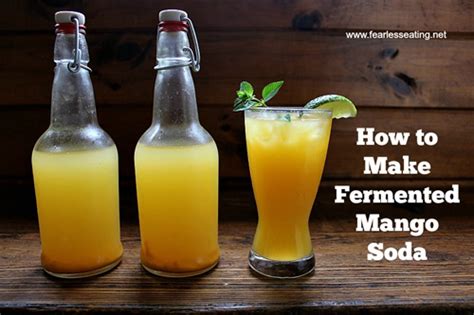 Fermented Mango Soda Recipe