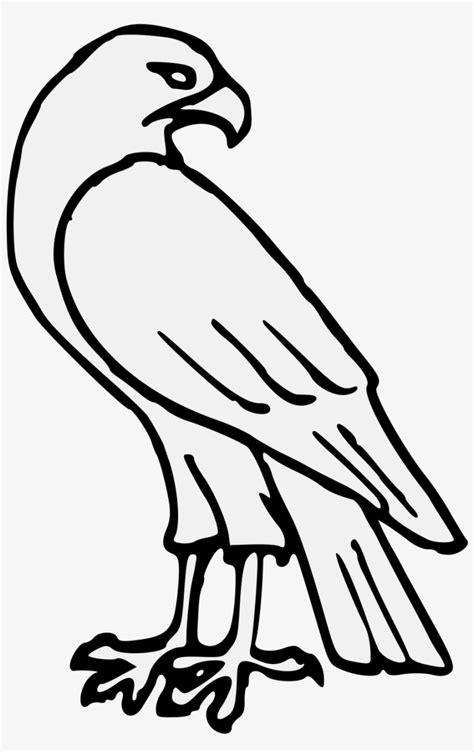 Falcon Clip Black And White Easy - Easy Hawk Drawing - Free Transparent PNG Download - PNGkey